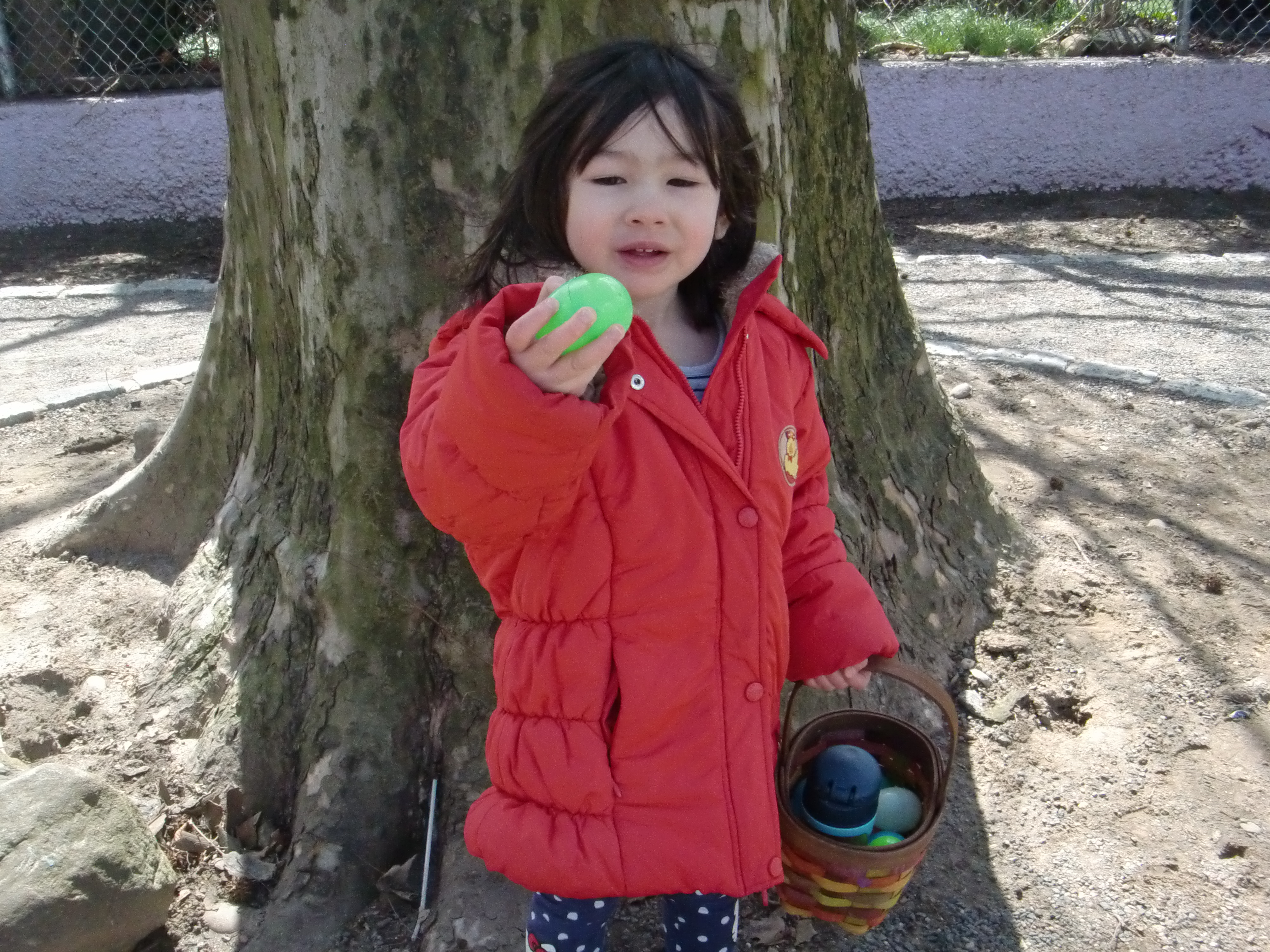 Ammie Hunting Easter Eggs