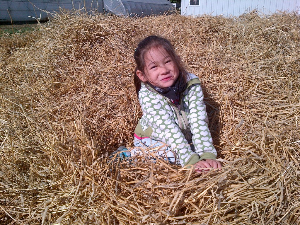 Ammie sitting in the Hay